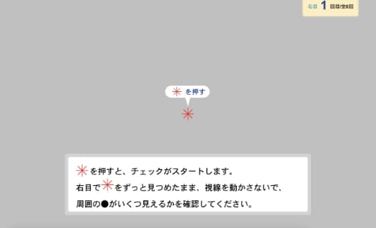 視野セルフチェック「クアトロチェッカー（R）」 画面イメージ